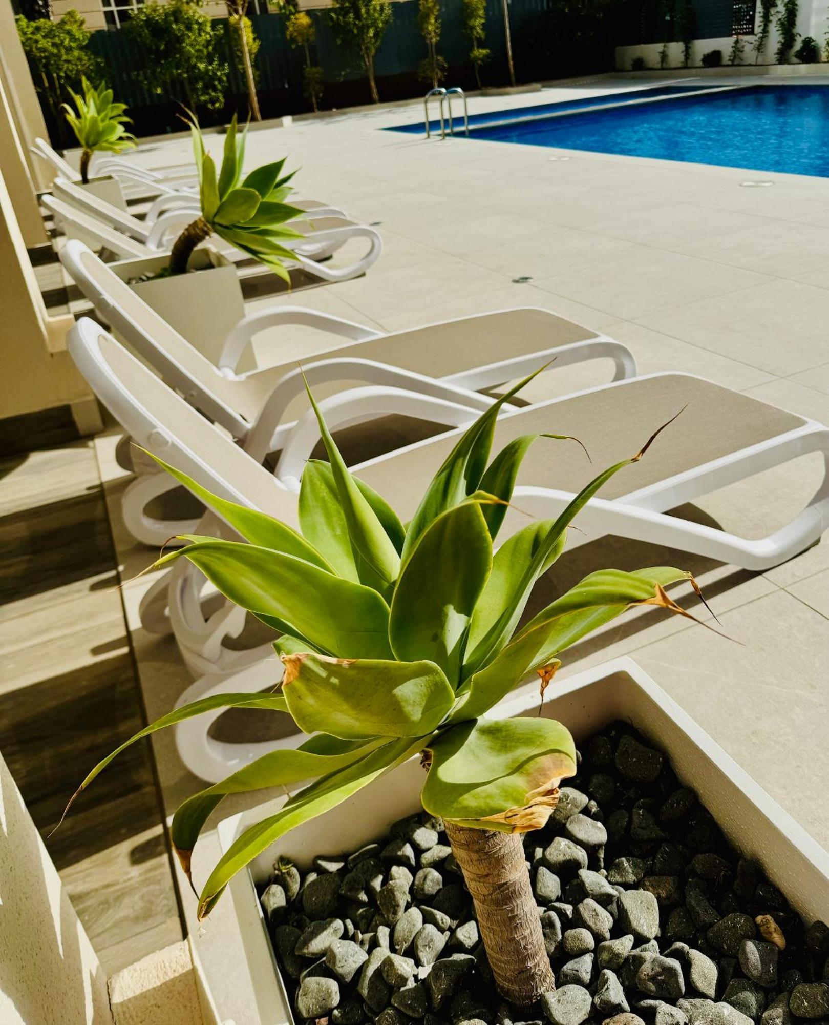Calpe Beach II - Sea & Pool View Apartment Kültér fotó